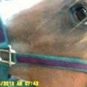 Meet your Posher, Faith